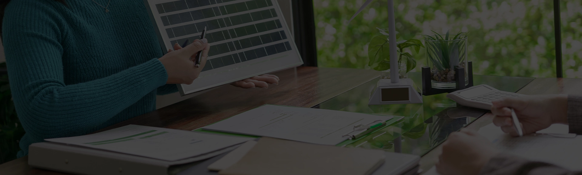 Consulting and Advisory Services for Renewable Energy Projects